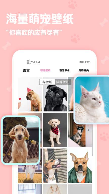 pet动物语言翻译器app下载,宠物app,翻译app,pet动物语言翻译器